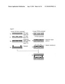 PLASTIC FLAT DISPLAY AND METHOD FOR MANUFACTURING SAME diagram and image