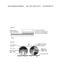 PLASTIC FLAT DISPLAY AND METHOD FOR MANUFACTURING SAME diagram and image