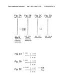 WIDE-ANGLE ZOOM LENS SYSTEM diagram and image