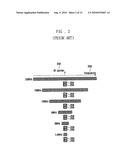 PHYSICAL CHANNEL COMMUNICATION METHOD FOR RANDOM ACCESS IN WIRELESS COMMUNICATION SYSTEM diagram and image