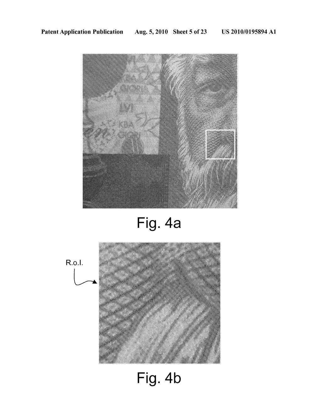 Authentication of Security Documents, in Particular of Banknotes - diagram, schematic, and image 06