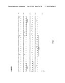 Humanized Anti-HLA-DR Antibodies diagram and image