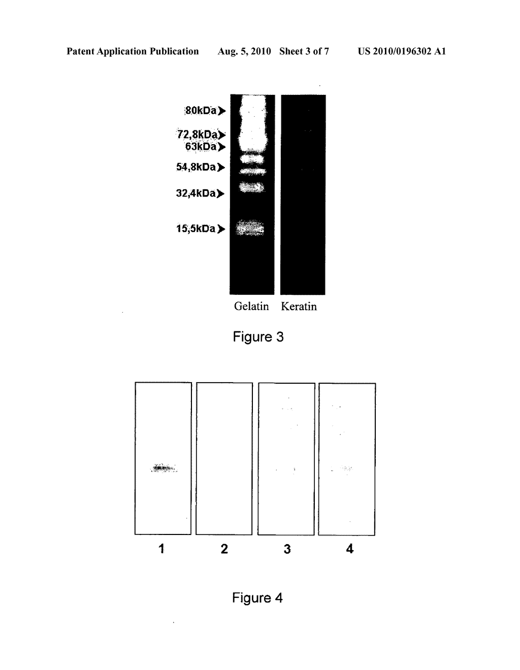 Keratin Hydrolysates, Process for Their Production and Cosmetic Composition Containing the Same - diagram, schematic, and image 04