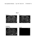 CYCLIC UNDECAPEPTIDES AND DERIVATIVES AS MULTIPLE SCLEROSIS THERAPIES diagram and image