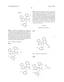 4, 5-RING ANNULATED INDOLE DERIVATIVES FOR TREATING OR PREVENTING OF HCV AND RELATED VIRAL INFECTIONS diagram and image