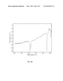 POLYMER FOR TISSUE ENGINEERING APPLICATIONS AND DRUG DELIVERY diagram and image