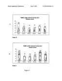 LACTID ACID BACTERIA AS PRIOBIOTIC STRAINS AND COMPOSITIONS CONTAINING SAME diagram and image