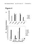 Human Monoclonal Antibody Human CD134 (Ox40) and Methods of Making and Using Same diagram and image