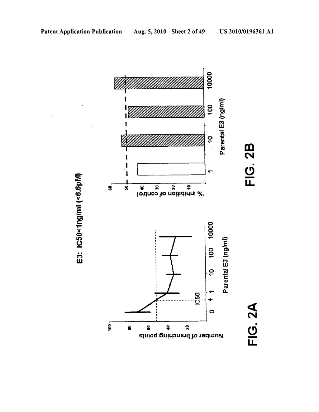 Method of inhibition of vascular development using an antibody - diagram, schematic, and image 03