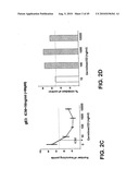 Method of inhibition of vascular development using an antibody diagram and image