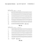 Method of inhibition of vascular development using an antibody diagram and image