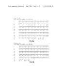 Method of inhibition of vascular development using an antibody diagram and image