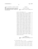 Method of inhibition of vascular development using an antibody diagram and image