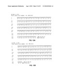 Method of inhibition of vascular development using an antibody diagram and image