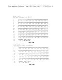 Method of inhibition of vascular development using an antibody diagram and image