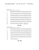 Method of inhibition of vascular development using an antibody diagram and image