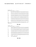 Method of inhibition of vascular development using an antibody diagram and image