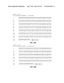 Method of inhibition of vascular development using an antibody diagram and image