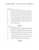 Method of inhibition of vascular development using an antibody diagram and image