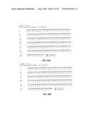 Method of inhibition of vascular development using an antibody diagram and image