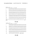 Method of inhibition of vascular development using an antibody diagram and image