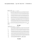 Method of inhibition of vascular development using an antibody diagram and image