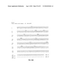 Method of inhibition of vascular development using an antibody diagram and image