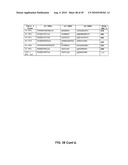 Method of inhibition of vascular development using an antibody diagram and image