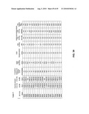 Method of inhibition of vascular development using an antibody diagram and image