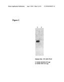 Methods For Screening Candidate Agents For Modulating Prorenin And Renin, Assays for Detecting Prorenin And Antibodies diagram and image