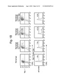 Removal promoters and inhibitor for apoptosis cells in vivo diagram and image