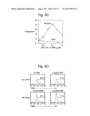 Removal promoters and inhibitor for apoptosis cells in vivo diagram and image