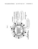 Yeast-Based Vaccine for Inducing an Immune Response diagram and image