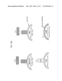 Yeast-Based Vaccine for Inducing an Immune Response diagram and image