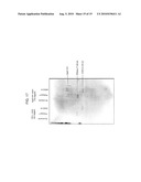 Yeast-Based Vaccine for Inducing an Immune Response diagram and image