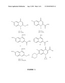 PROCESS FOR THE PREPARATION AND PHARMACEUTICAL FORMULATIONS FOR 4-QUINOLINONES AND QUINOLINES AND USE THEREOF diagram and image