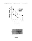 PROCESS FOR THE PREPARATION AND PHARMACEUTICAL FORMULATIONS FOR 4-QUINOLINONES AND QUINOLINES AND USE THEREOF diagram and image