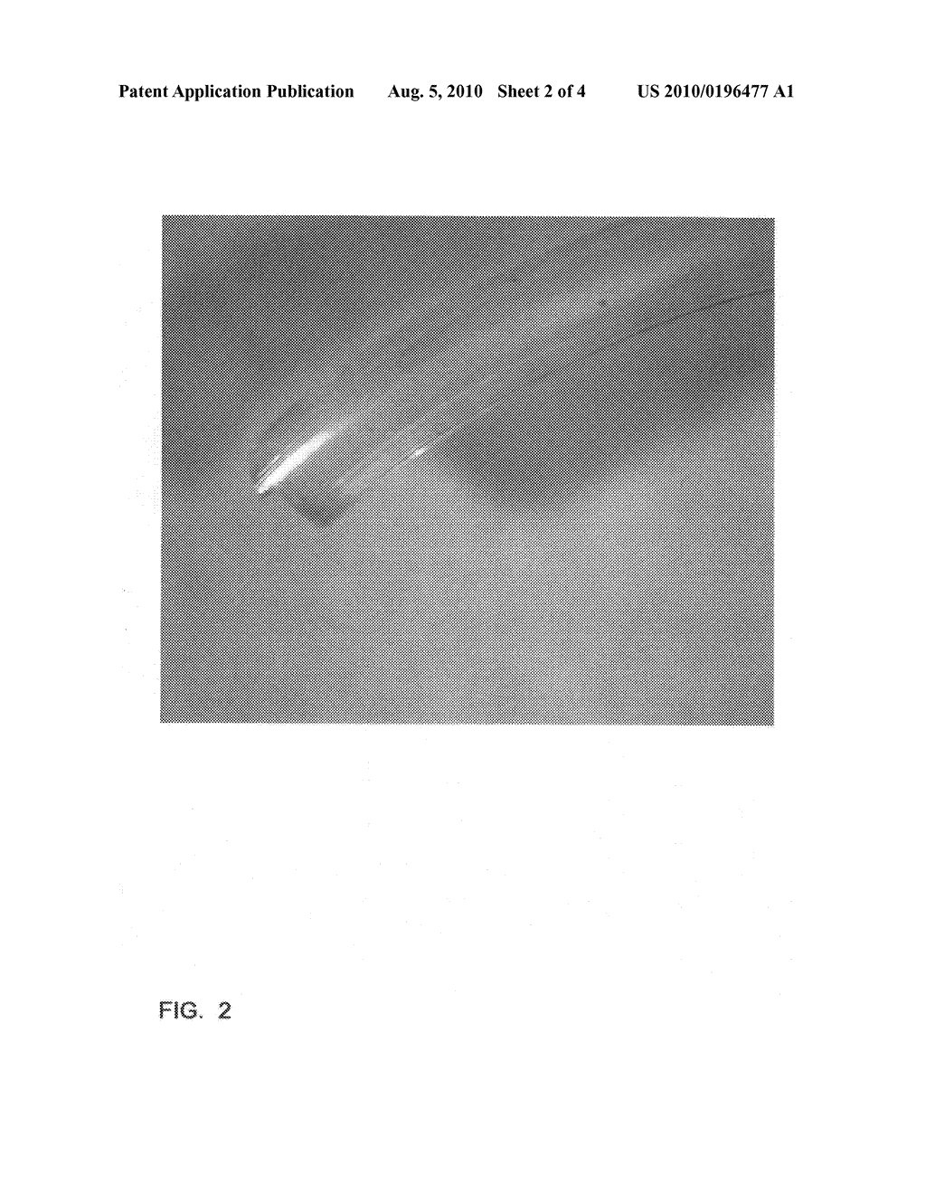 Dry Mouldable drug formulation - diagram, schematic, and image 03