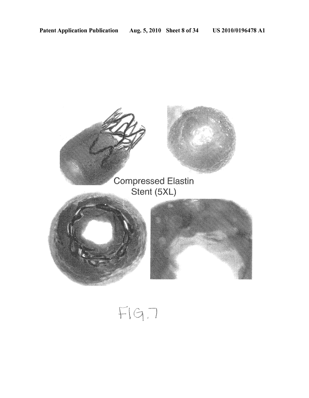 PROTEIN MATRIX MATERIALS, DEVICES AND METHODS OF MAKING AND USING THEREOF - diagram, schematic, and image 09