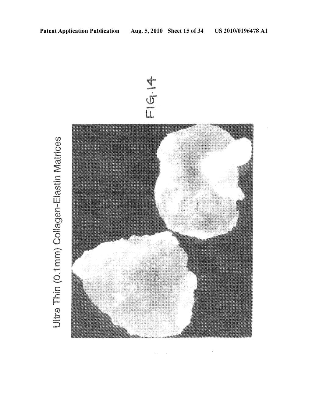 PROTEIN MATRIX MATERIALS, DEVICES AND METHODS OF MAKING AND USING THEREOF - diagram, schematic, and image 16