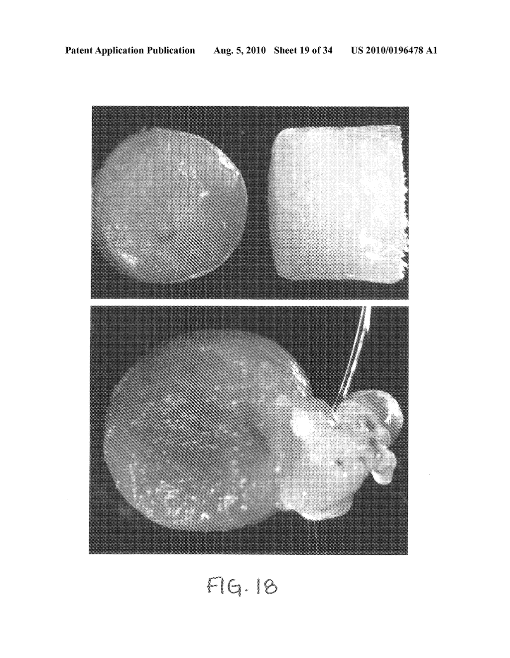 PROTEIN MATRIX MATERIALS, DEVICES AND METHODS OF MAKING AND USING THEREOF - diagram, schematic, and image 20