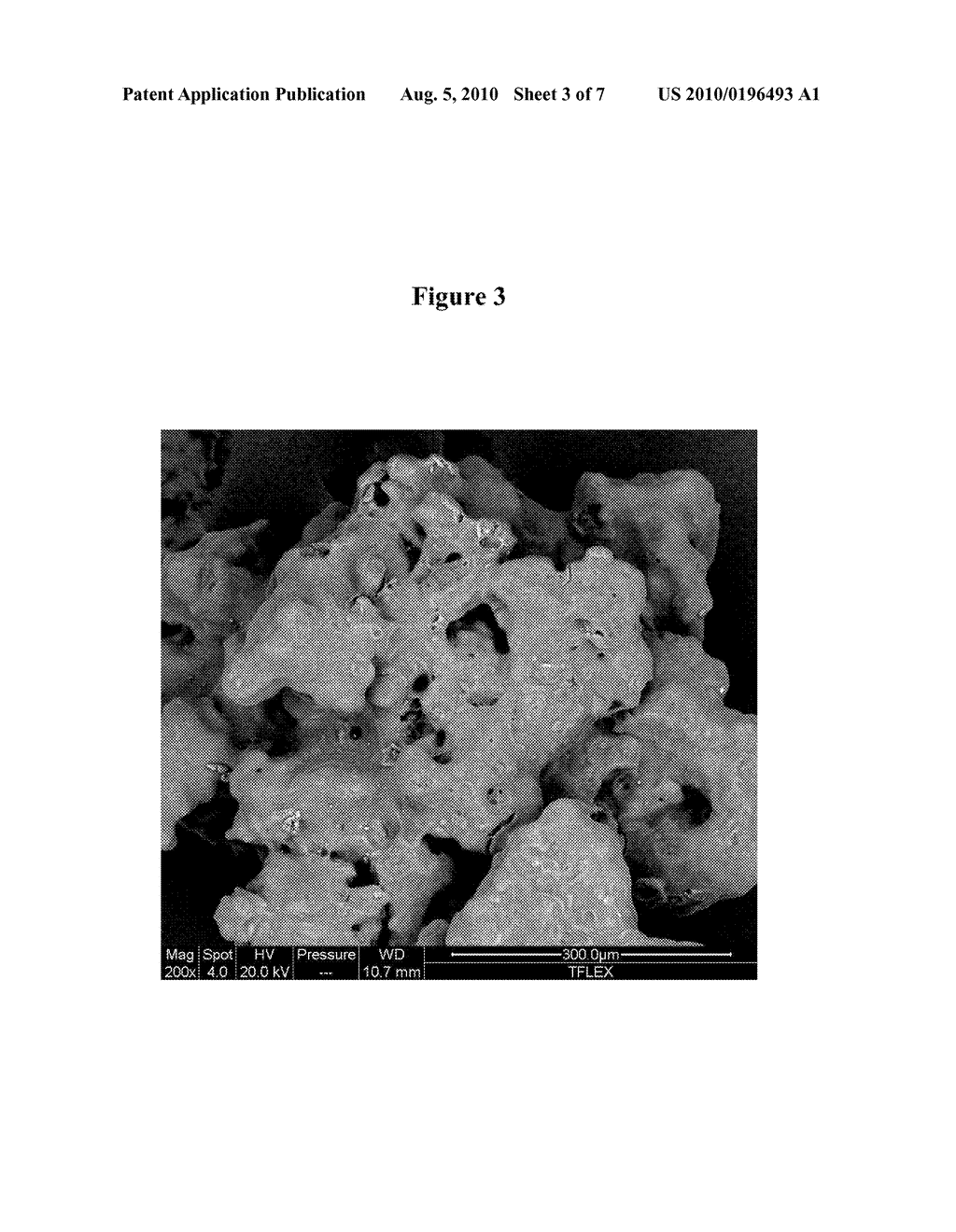 METHOD FOR PRODUCING STABLE POWDER COMPOSITIONS - diagram, schematic, and image 04