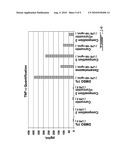 COMPOSITIONS COMPRISING POLYUNSATURATED FATTY ACID MONOGLYCERIDES OR DERIVATIVES THEREOF AND USES THEREOF diagram and image