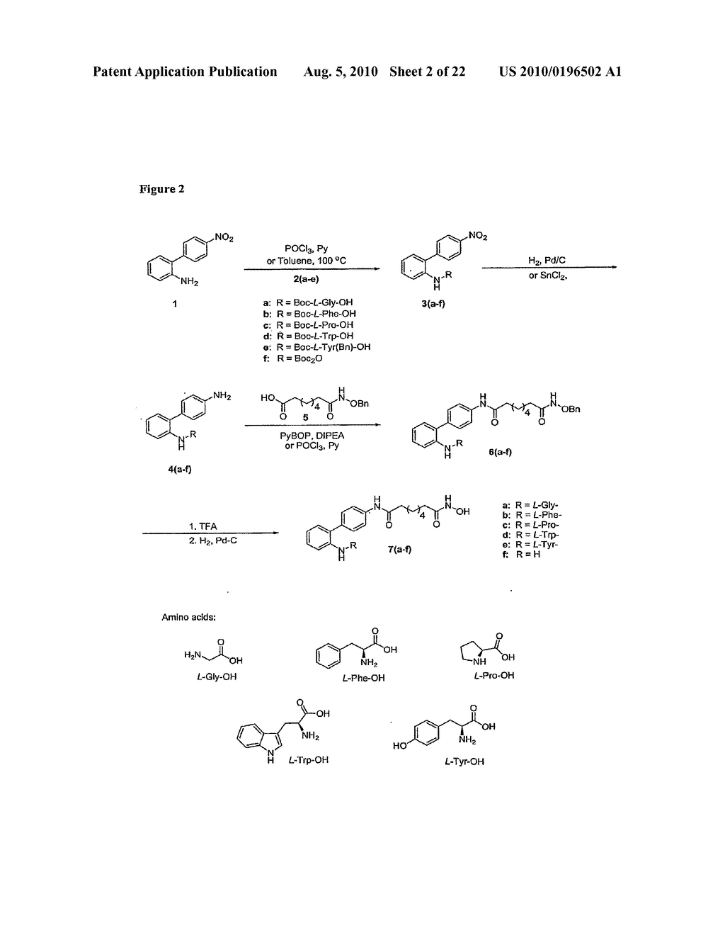 Isoform Selective HDAC Inhibitors - diagram, schematic, and image 03