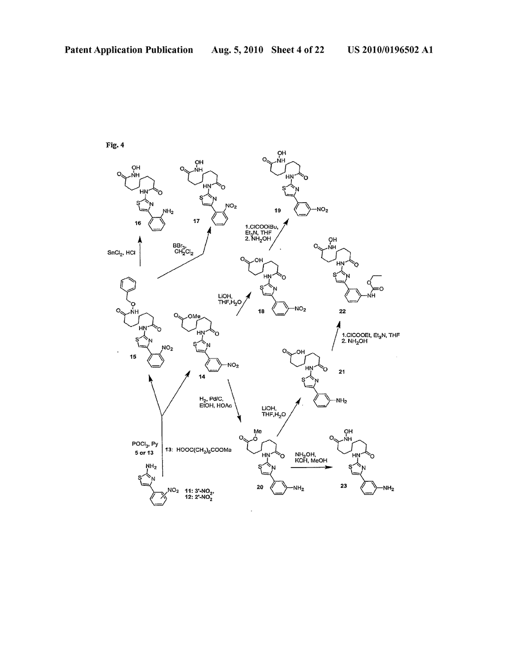 Isoform Selective HDAC Inhibitors - diagram, schematic, and image 05