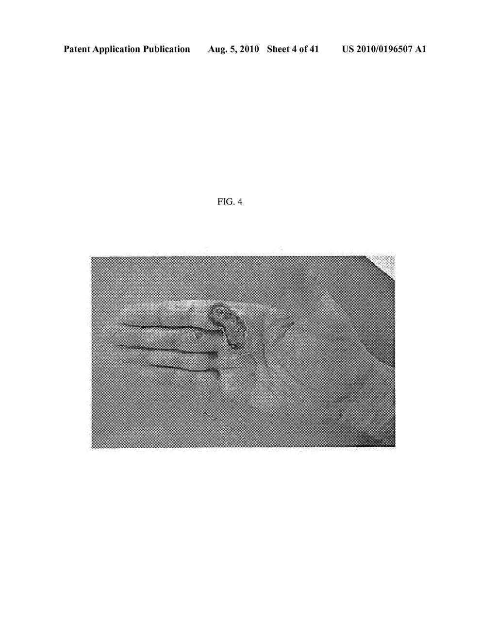 Treatment of Wounds and Compositions Employed - diagram, schematic, and image 05