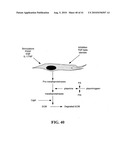 Treatment of Wounds and Compositions Employed diagram and image