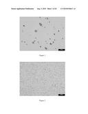 NANOCOMPOSITES AND PROCESS FOR THEIR PRODUCTION diagram and image