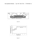 NANOCOMPOSITES AND PROCESS FOR THEIR PRODUCTION diagram and image