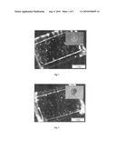 THERMOPLASTIC COMPRISING METAL IDENTIFICATION PLATELETS diagram and image